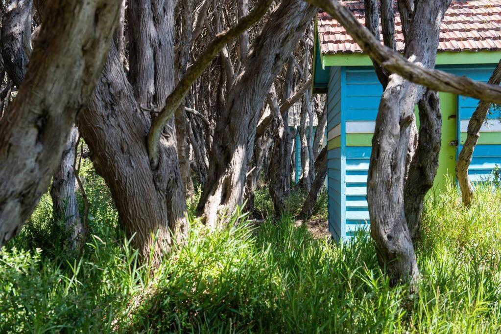 The Butler - Steps To The Shore Villa Rye Exterior photo